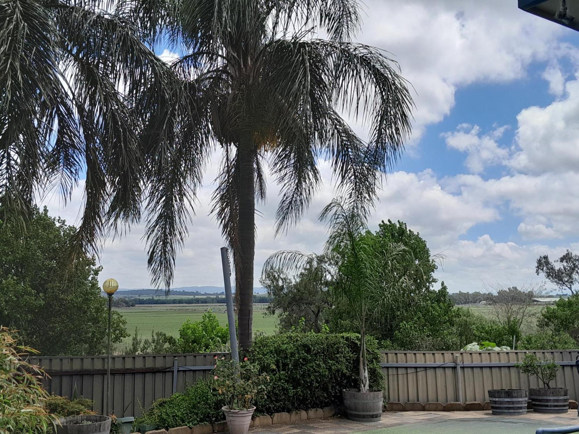 Muswellbrook Northside Bed & Breakfast Exterior photo